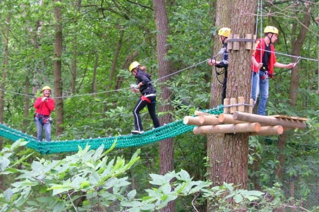 angersloirevalley accrobranche parc anjou aventure 247876