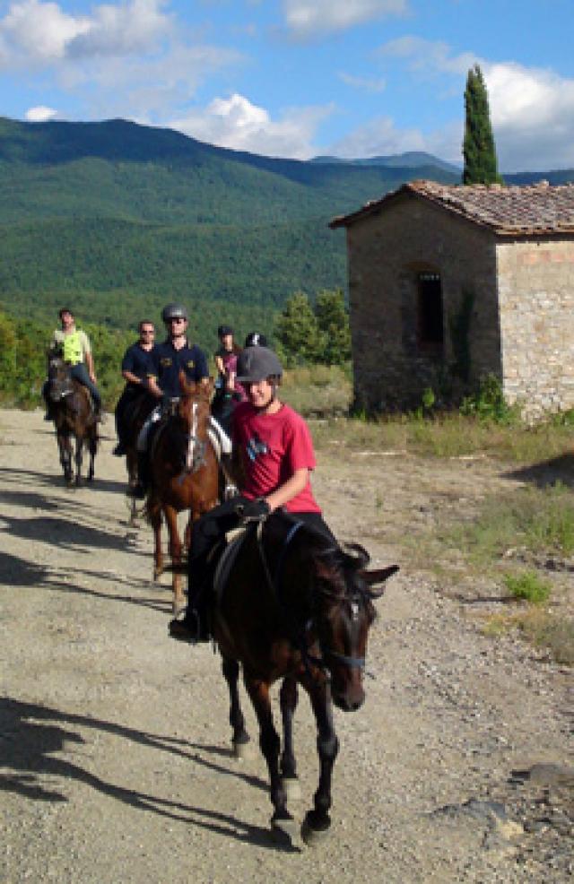 horse riding cavallo reiten